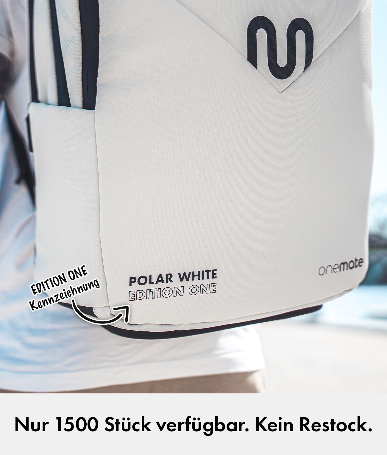 Backpack Pro 1