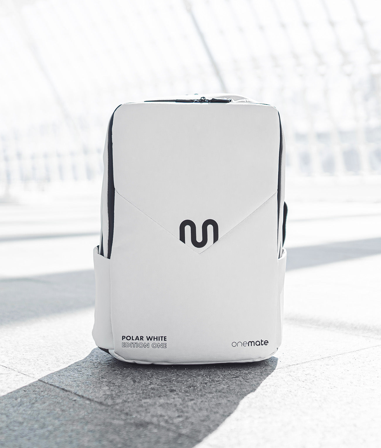 Backpack Pro 1